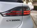 Lexus CT 200h 200h Hybrid Luxury PELLE,NAVI-GARANZIA KM CERTIFIC Bianco - thumbnail 6
