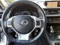 Lexus CT 200h 200h Hybrid Luxury PELLE,NAVI-GARANZIA KM CERTIFIC Bianco - thumbnail 12