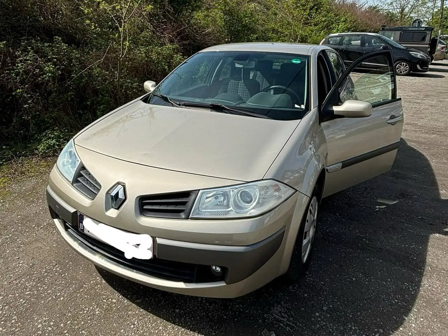 Renault Megane Megane Grandtour 1.4 benzine Beige - 1