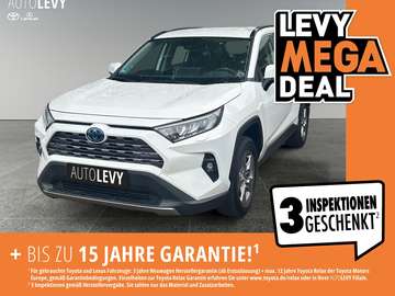 RAV4 2.5 Hybrid Business Allwetter+LED+CarPlay