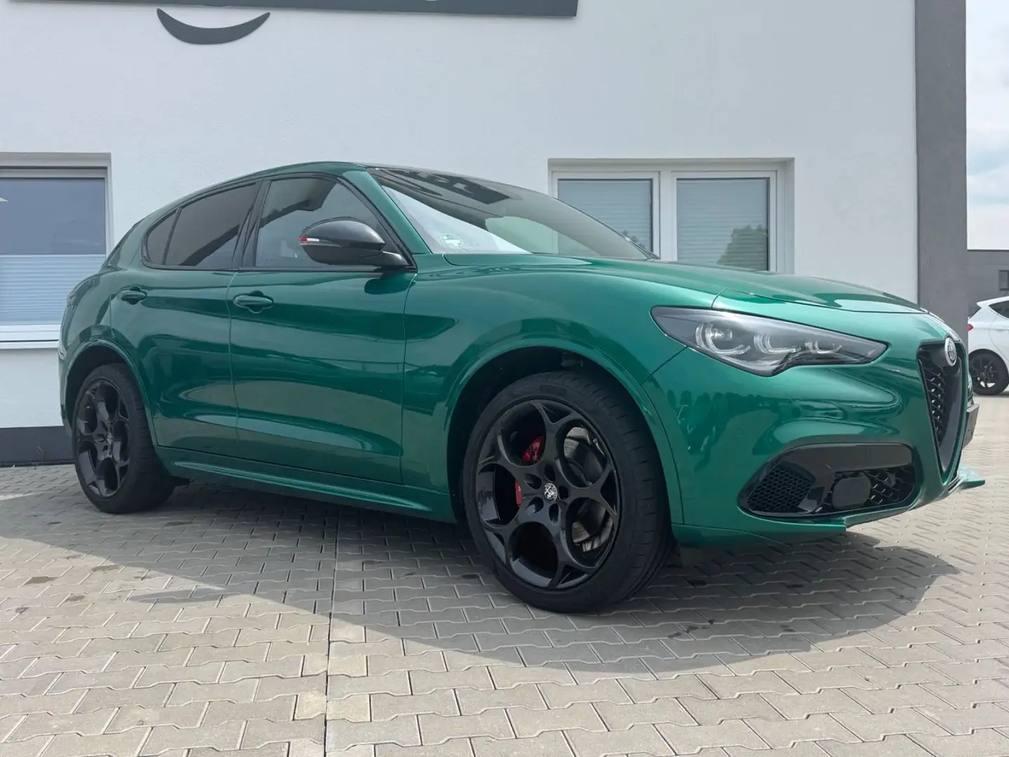Alfa Romeo Stelvio Tributo Italiano Q4 LED/Vollleder Grün - 2