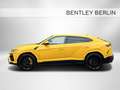 Lamborghini Urus PANORAMA CARBON 23`ZOLL B&O Geel - thumbnail 7