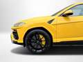 Lamborghini Urus PANORAMA CARBON 23`ZOLL B&O Geel - thumbnail 8