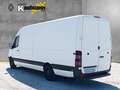 Mercedes-Benz Sprinter II Kasten 316 CDI L4H2 MAXI Extra Lang 1 Weiß - thumbnail 4