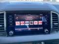 Skoda Karoq Karoq 1.6 tdi Ambition dsg Grigio - thumbnail 14
