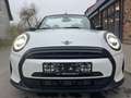 MINI Cooper Cabrio Navi LED Sportsitze Szhz PDC Alb - thumbnail 3