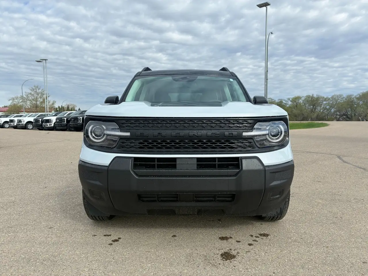 Ford Bronco Sport снимка Ford Bronco Sport