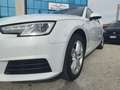 Audi A4 Avant 2.0 TDi 150cv S-Tronic Bianco - thumbnail 14