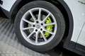 Porsche Cayenne EHybrid Blanco - thumbnail 14