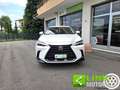 Lexus NX 350h NX Hybrid 4WD Premium GARANZIA LEXUS Bianco - thumbnail 2