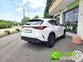 Lexus NX 350h NX Hybrid 4WD Premium GARANZIA LEXUS Bianco - thumbnail 11