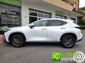 Lexus NX 350h NX Hybrid 4WD Premium GARANZIA LEXUS Bianco - thumbnail 15
