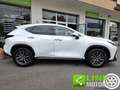 Lexus NX 350h NX Hybrid 4WD Premium GARANZIA LEXUS Bianco - thumbnail 14