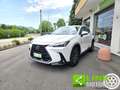 Lexus NX 350h NX Hybrid 4WD Premium GARANZIA LEXUS Bianco - thumbnail 3
