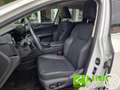 Lexus NX 350h NX Hybrid 4WD Premium GARANZIA LEXUS Bianco - thumbnail 7