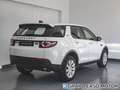 Land Rover Discovery Sport 2.0TD4 Pure 4x4 Aut. 150 Blanco - thumbnail 6