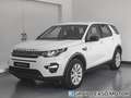 Land Rover Discovery Sport 2.0TD4 Pure 4x4 Aut. 150 Blanco - thumbnail 1