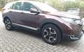 Honda CR-V 1.5T 2WD Elegance, Navi, Allwetter - thumbnail 13