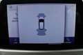 Ford Focus 1.0 EcoBoost Trend Edition Business org.NL navigat Bleu - thumbnail 16