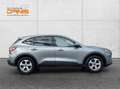 Ford Kuga 2,0 EcoBlue AWD  Aut. NAVI/ASSIST/AHV-Vorbereitung Grau - thumbnail 8