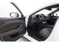Mazda 6 2.2SKYACTIV-D Aut.Sports-Line+LED+NAVI+AHK+HUD Wit - thumbnail 17