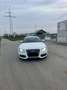 Audi S5 tiptronic - thumbnail 16