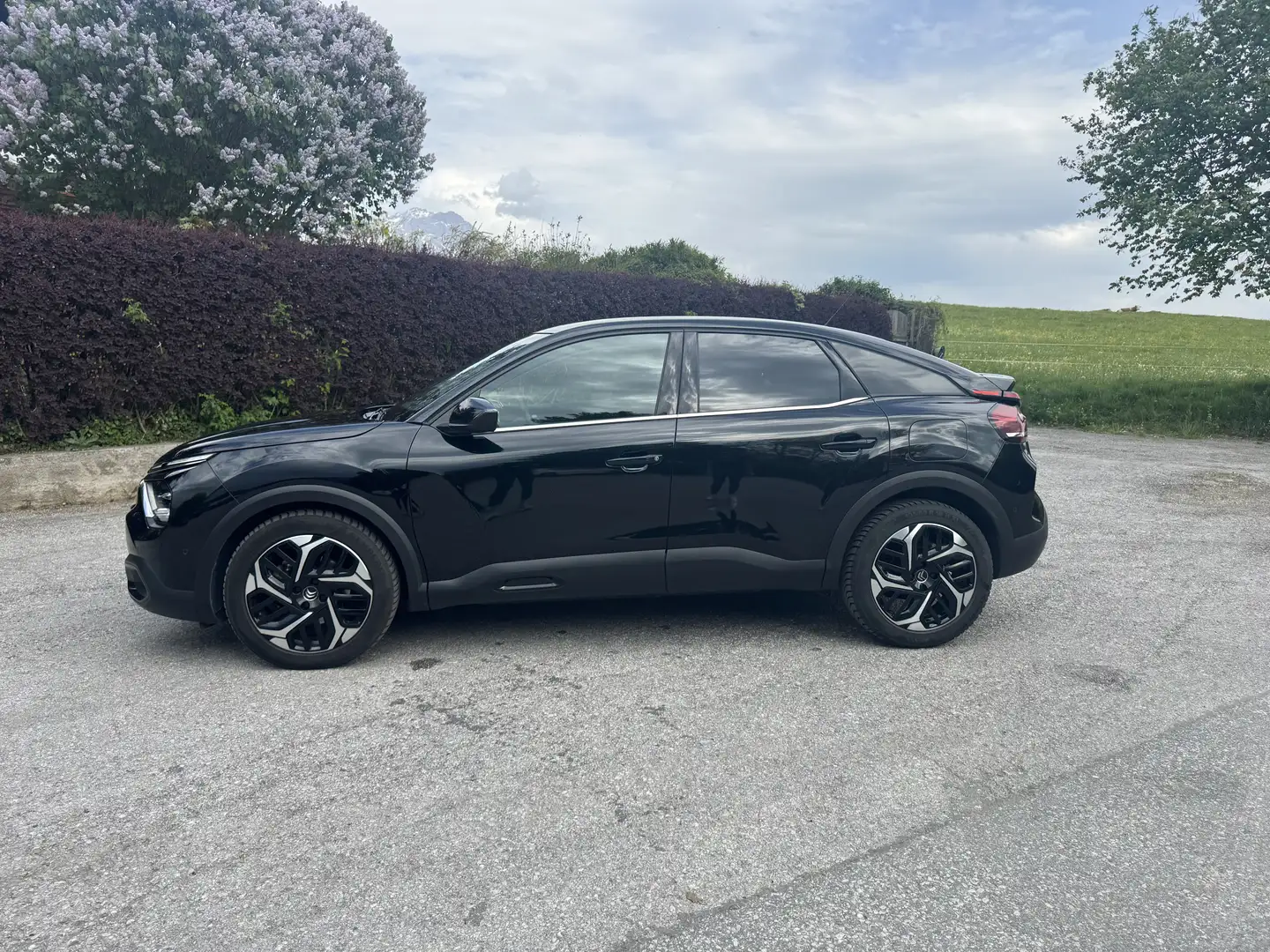 Citroen C4 PureTech 130 S&S Shine Edition EAT8 Aut. - 2