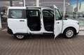 Ford Transit Courier DOKA 1.0EcoB SYNC4 0,0% FIN* AHK Weiß - thumbnail 5