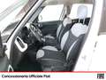 Fiat 500L 1.6 mjt pop star 105cv Alb - thumbnail 7