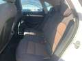 Audi Q3 2.0 TDI quattro S tronic Advanced Plus Bianco - thumbnail 10