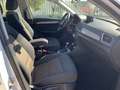 Audi Q3 2.0 TDI quattro S tronic Advanced Plus Bianco - thumbnail 13