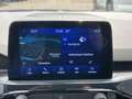 Ford Kuga ST-Line X 2.5 Plug-in Hybrid e-CVT Wegklapbare tre Blauw - thumbnail 33