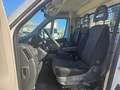Fiat Ducato 33 2.3 MJT 130CV PM Cabinato RIBALTABILE Bianco - thumbnail 11