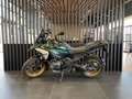BMW R 1300 GS Grün - thumbnail 2