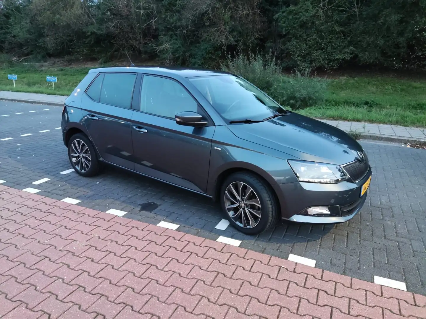 Skoda Fabia 1.2 TSI Drive Grijs - 2