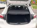 Peugeot 208 1.5 BlueHDi 100 Premium Pack Blanc - thumbnail 14