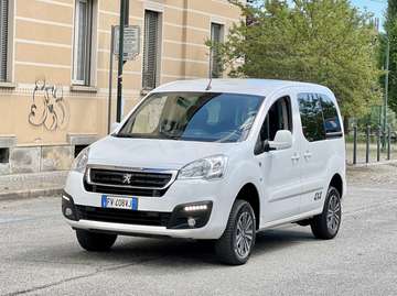 Tepee 1.6 BlueHDi 100cv E6 4X4 Dangel Endurance Control Active IVA INCLUSA-KM CERTIFICATI-4X4 INSERIBILE-TOUCH SCREEN-USB