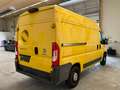 Fiat Ducato Top* Kredit* 1 Besitzer* Rückfharkamera* Gelb - thumbnail 4