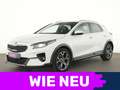 Kia XCeed Xdition Navi|JBL|LED|CarPlay|Kamera|SHZ Weiß - thumbnail 1