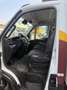 Iveco Daily 60C17Frigo FRCX -20°C MAGGIO 2027ATP E5B kg 500 Blanc - thumbnail 10