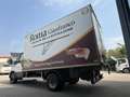 Iveco Daily 60C17Frigo FRCX -20°C MAGGIO 2027ATP E5B kg 500 Blanc - thumbnail 7
