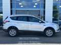 Ford Kuga 1.5 TDCi 120ch Stop\u0026Start Trend Business 4x2 Gris - thumbnail 4