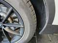 BMW X4 Xdrive 20d mhev Tetto cam Nav msport Weiß - thumbnail 19