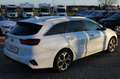 Kia Ceed SW / cee'd SW cee'd SW *JBL-Sound/LED/Rückf.-Kam* Blanc - thumbnail 9