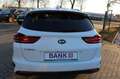 Kia Ceed SW / cee'd SW cee'd SW *JBL-Sound/LED/Rückf.-Kam* Blanc - thumbnail 10