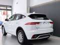 Jaguar E-Pace 2.0D I4 R-Dynamic HSE AWD Aut. 150 Bianco - thumbnail 8