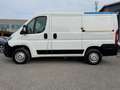 Fiat Ducato Ducato 30 2.0 MJT PC-TN Furgone Weiß - thumbnail 6