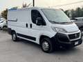 Fiat Ducato Ducato 30 2.0 MJT PC-TN Furgone Weiß - thumbnail 3