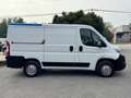 Fiat Ducato Ducato 30 2.0 MJT PC-TN Furgone Weiß - thumbnail 4