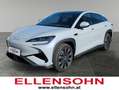 BYD Sealion 7 Excellence AWD Grau - thumbnail 1